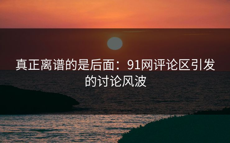 真正离谱的是后面：91网评论区引发的讨论风波