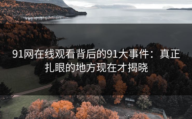 91网在线观看背后的91大事件：真正扎眼的地方现在才揭晓