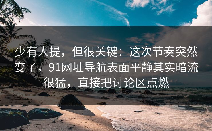 少有人提，但很关键：这次节奏突然变了，91网址导航表面平静其实暗流很猛，直接把讨论区点燃
