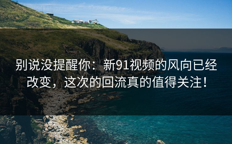 别说没提醒你：新91视频的风向已经改变，这次的回流真的值得关注！