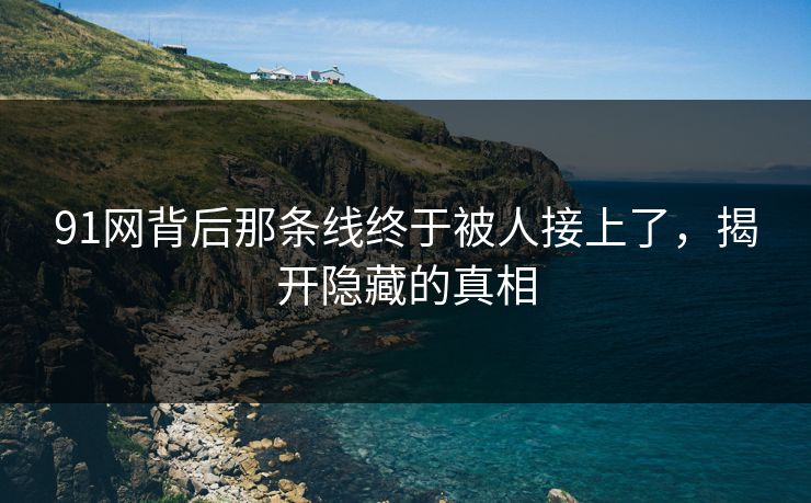 91网背后那条线终于被人接上了，揭开隐藏的真相