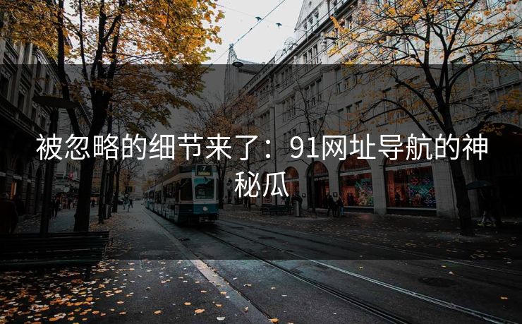 被忽略的细节来了：91网址导航的神秘瓜