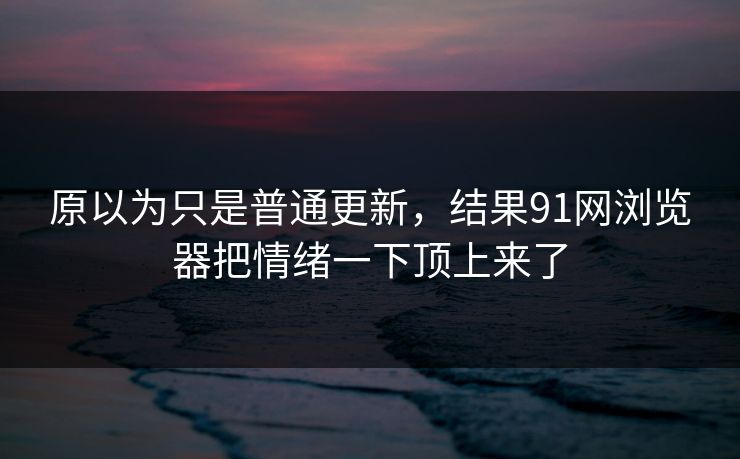 原以为只是普通更新，结果91网浏览器把情绪一下顶上来了