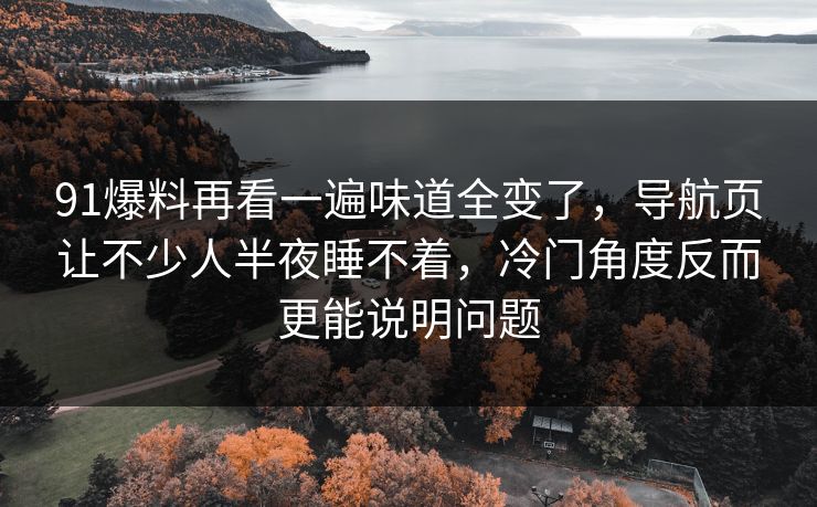 91爆料再看一遍味道全变了，导航页让不少人半夜睡不着，冷门角度反而更能说明问题