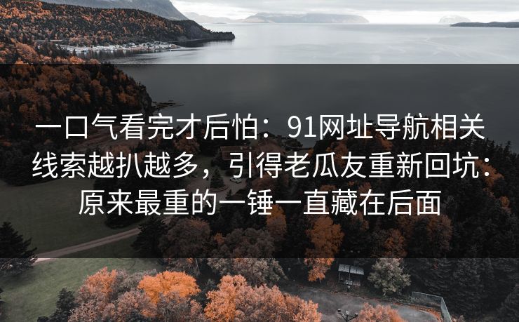 一口气看完才后怕：91网址导航相关线索越扒越多，引得老瓜友重新回坑：原来最重的一锤一直藏在后面